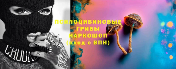 индика Горнозаводск