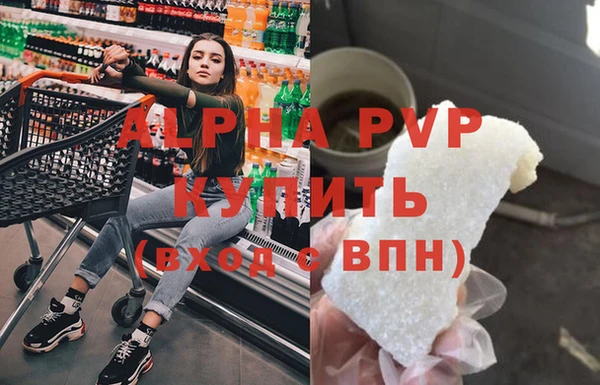 ECSTASY Горняк