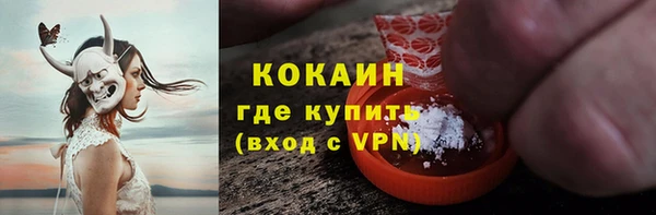 индика Горнозаводск
