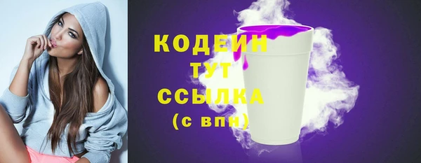 ECSTASY Горняк