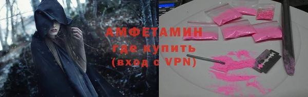 индика Горнозаводск