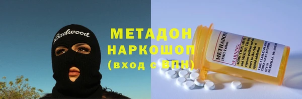 индика Горнозаводск