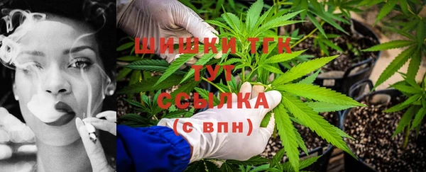 ECSTASY Горняк