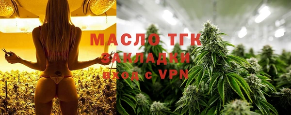 индика Горнозаводск