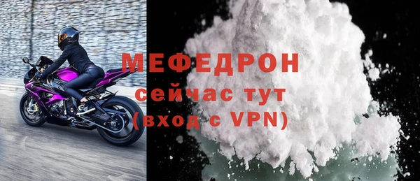 индика Горнозаводск