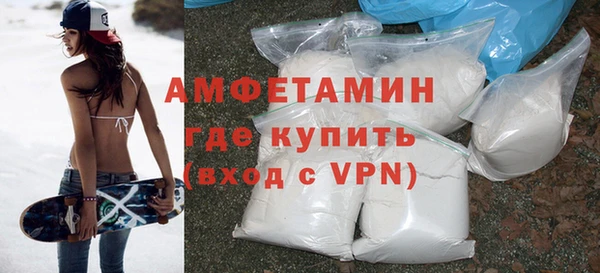индика Горнозаводск