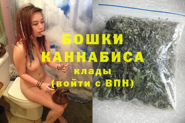 индика Горнозаводск