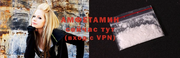 индика Горнозаводск