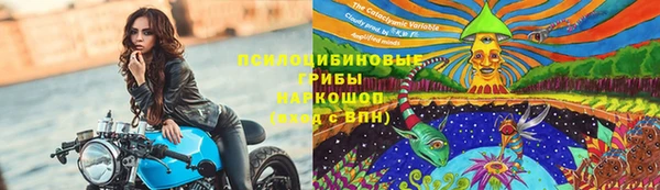 ECSTASY Горняк