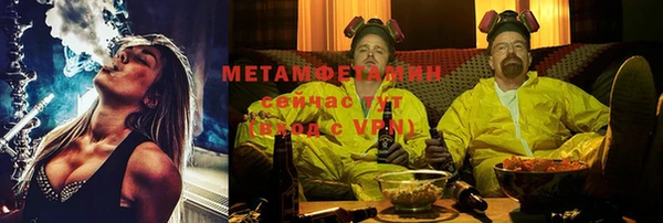 индика Горнозаводск