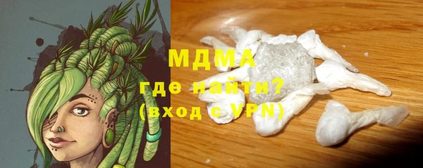 индика Горнозаводск